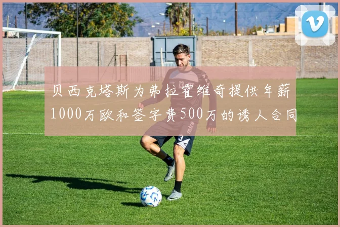贝西克塔斯为弗拉霍维奇提供年薪1000万欧和签字费500万的诱人合同