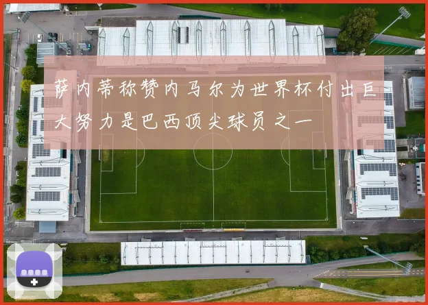 萨内蒂称赞内马尔为世界杯付出巨大努力是巴西顶尖球员之一