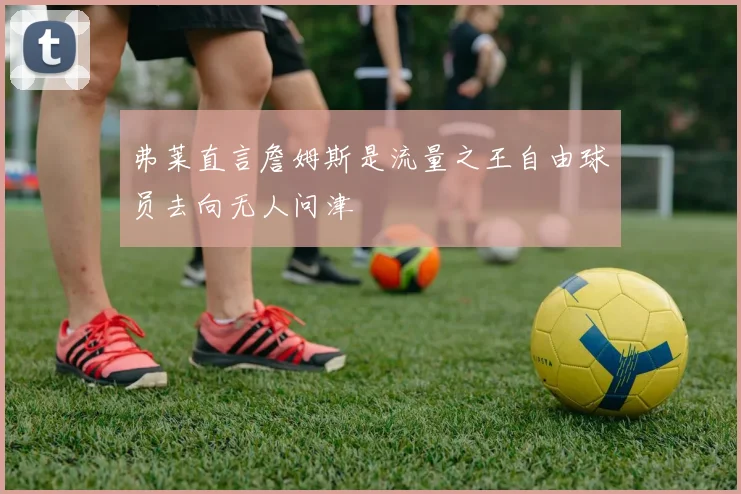 弗莱直言詹姆斯是流量之王自由球员去向无人问津