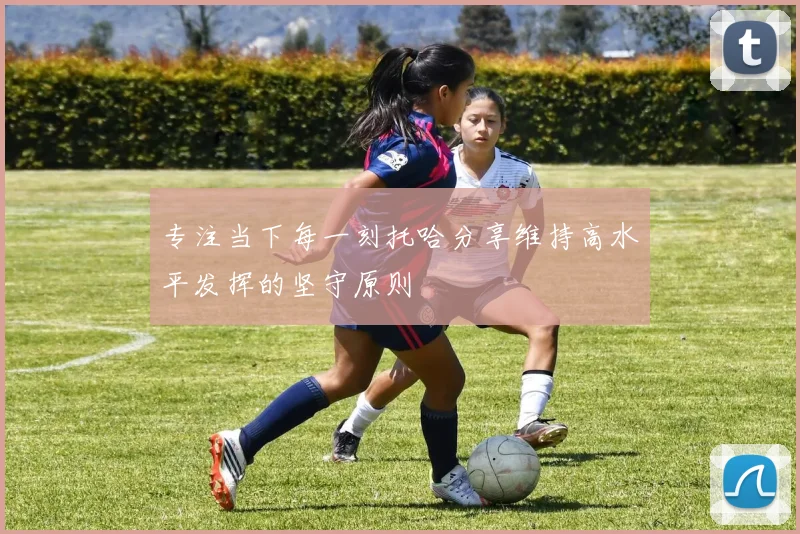 专注当下每一刻托哈分享维持高水平发挥的坚守原则