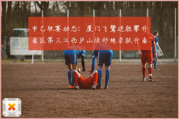 中乙联赛动态：厦门飞鹭连胜攀升南区第三江西庐山读秒绝杀跃升南区第四